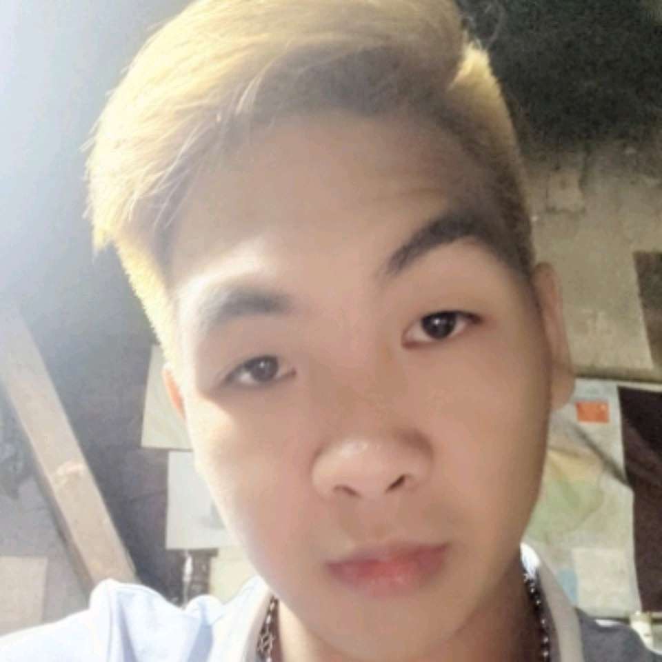 小海豚爱恋乐观的照片