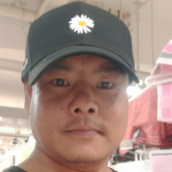 向日葵还痴情的照片