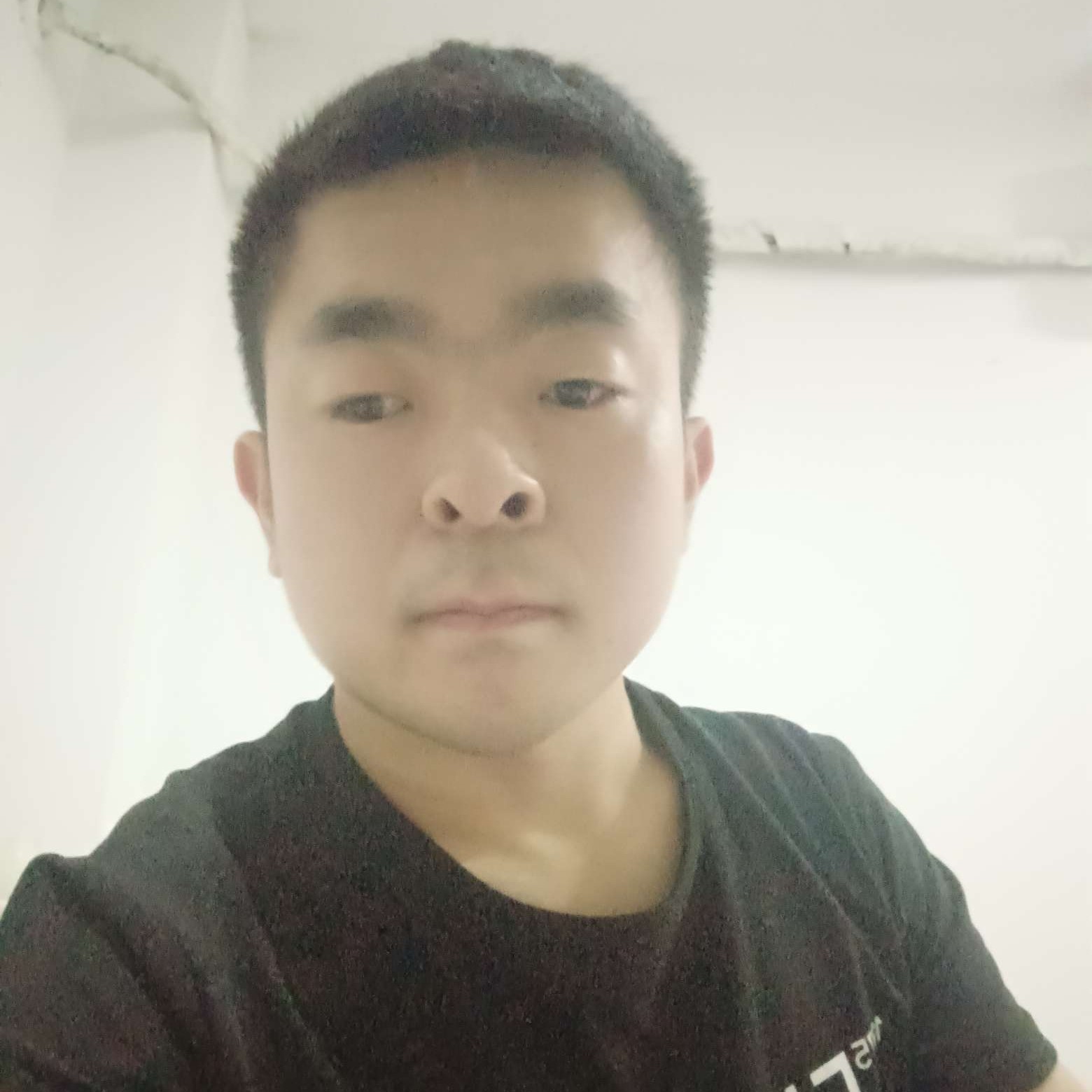 太阳邂逅淡淡的照片