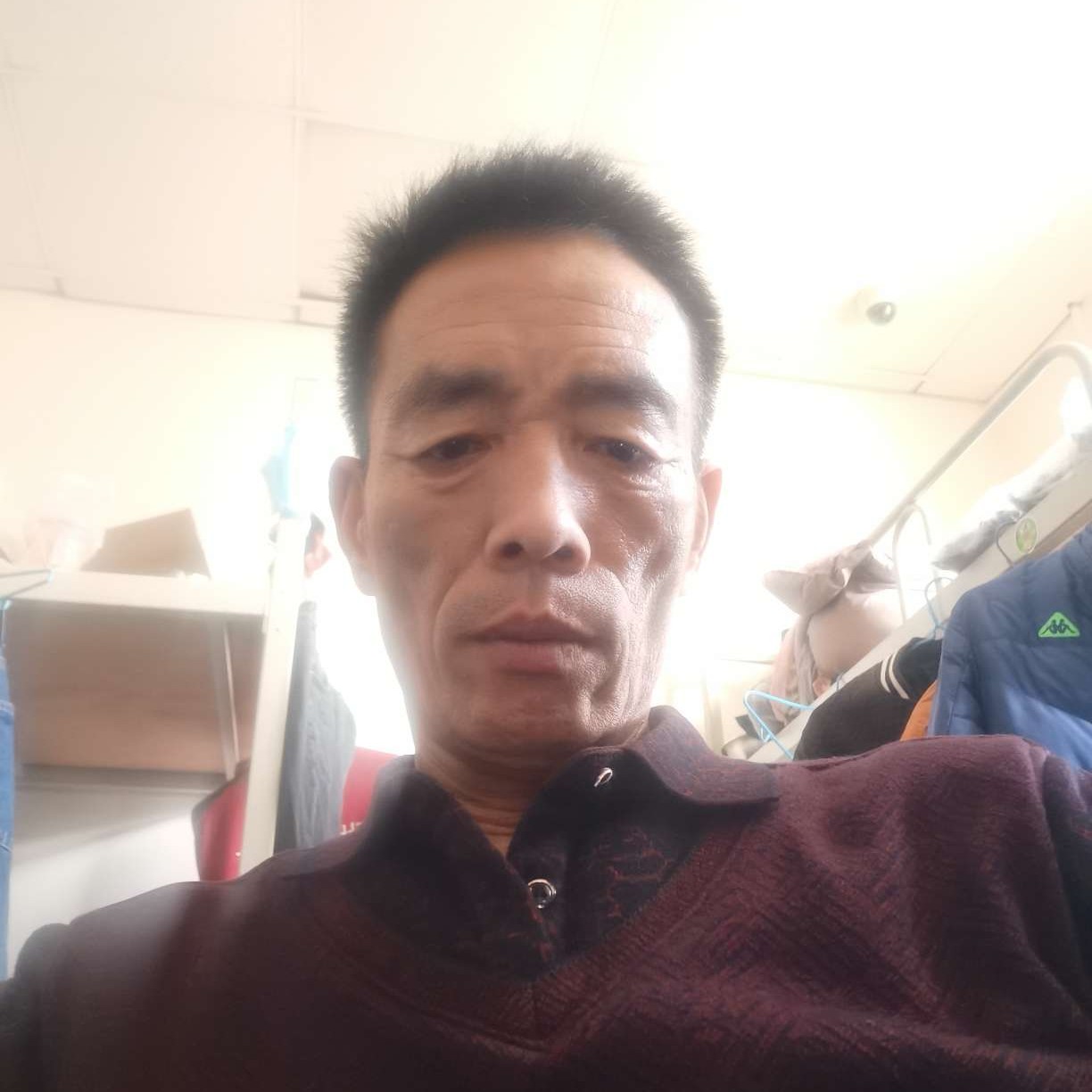 儒雅凝眸玫瑰的照片
