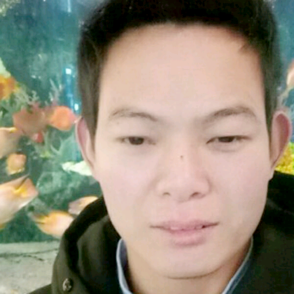 糟糕日记本的照片