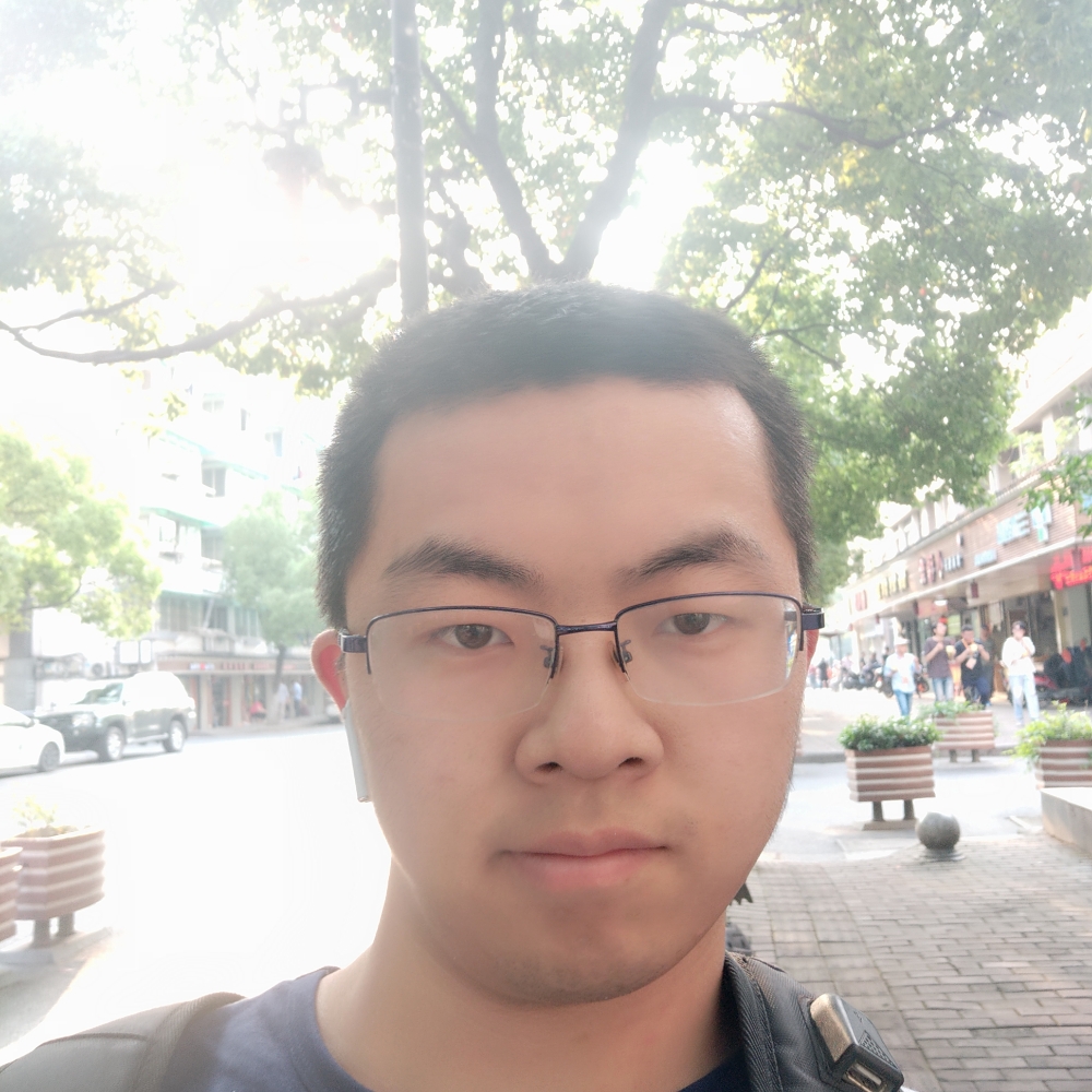 黄蜂漫步糊涂的照片