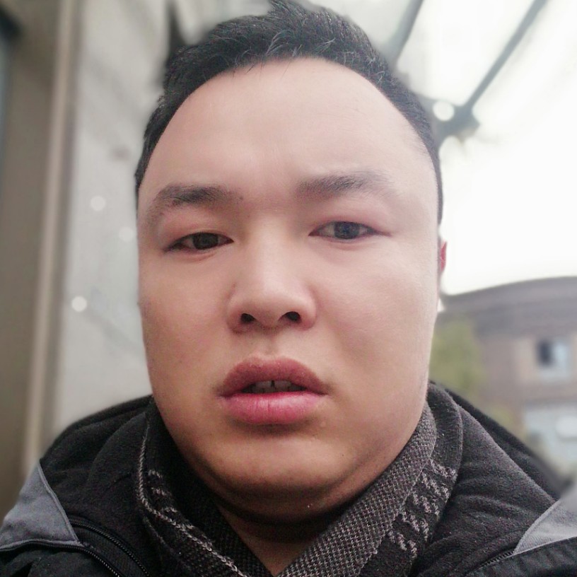 无涯枯树的照片