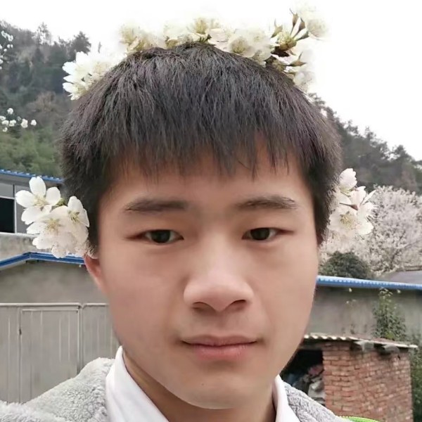枫华伟岸的照片