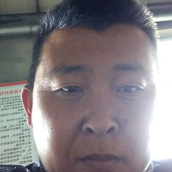 小白菜翩飞的照片