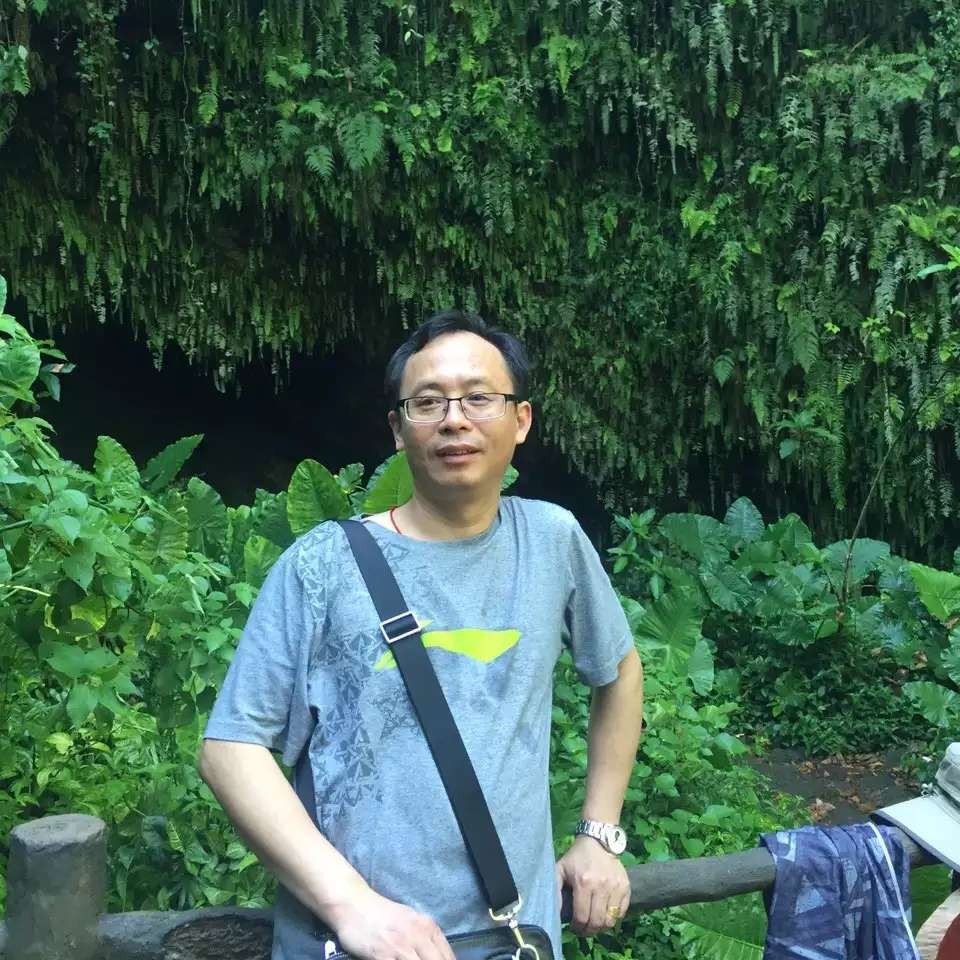 小懒虫用轻松的照片