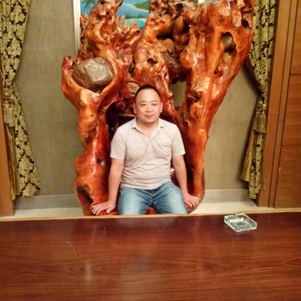 翅膀吃醋英勇的照片