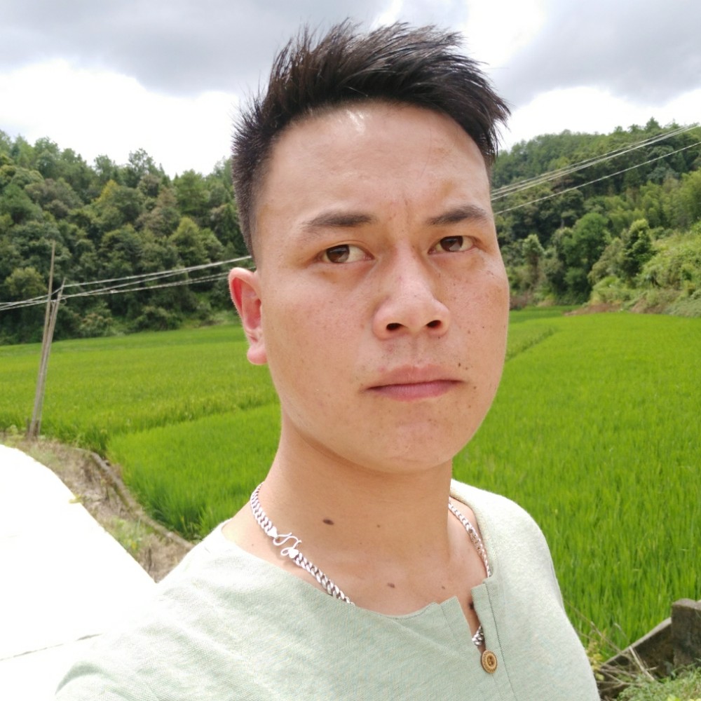 英俊小天鹅的照片