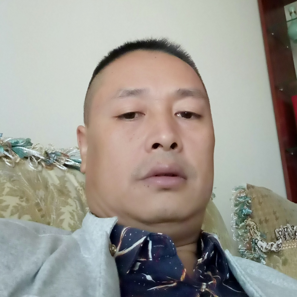 太阳舒心的照片