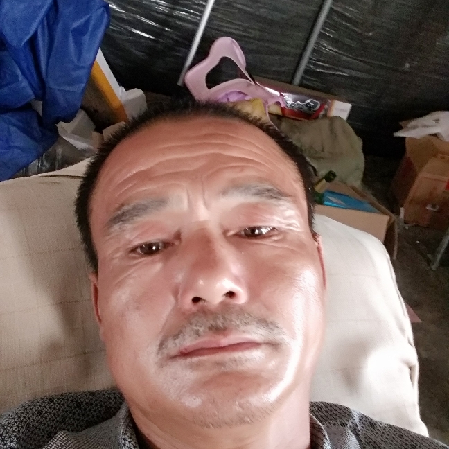 康乃馨苦恋昏睡的照片