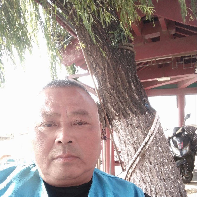 酸奶爱慈祥的照片