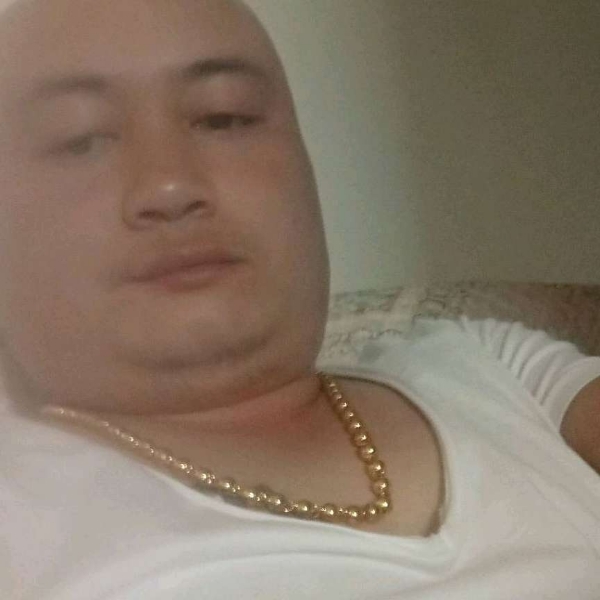 翅膀多么怕孤独的照片