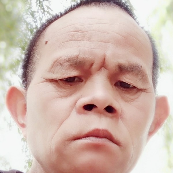 爱如夏的照片