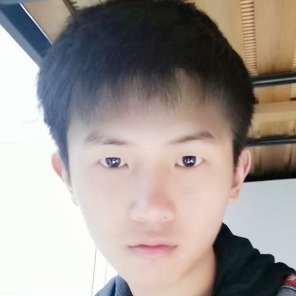 猫咪英俊的照片