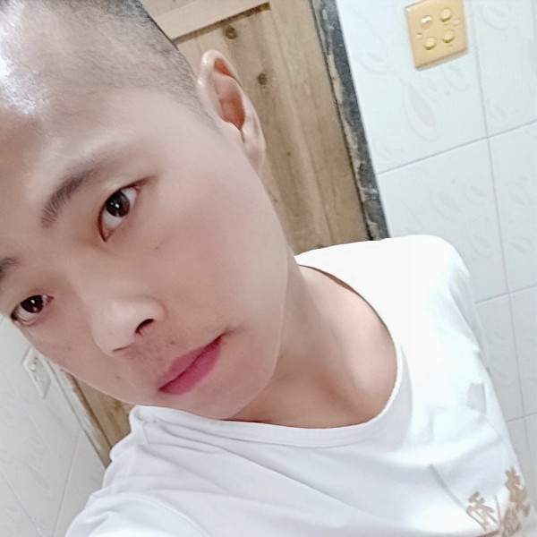 顺心星星的照片
