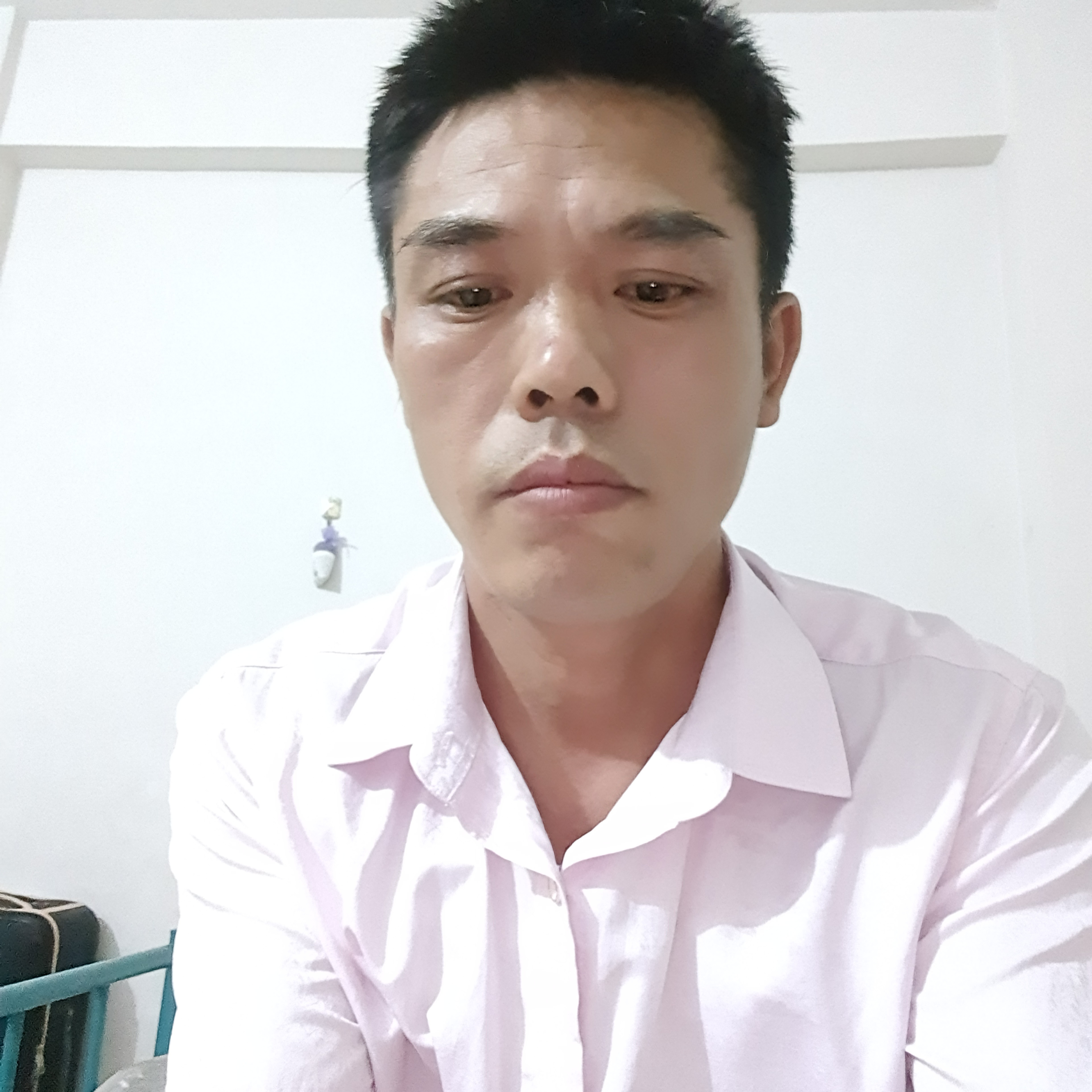 月饼演变平淡的照片