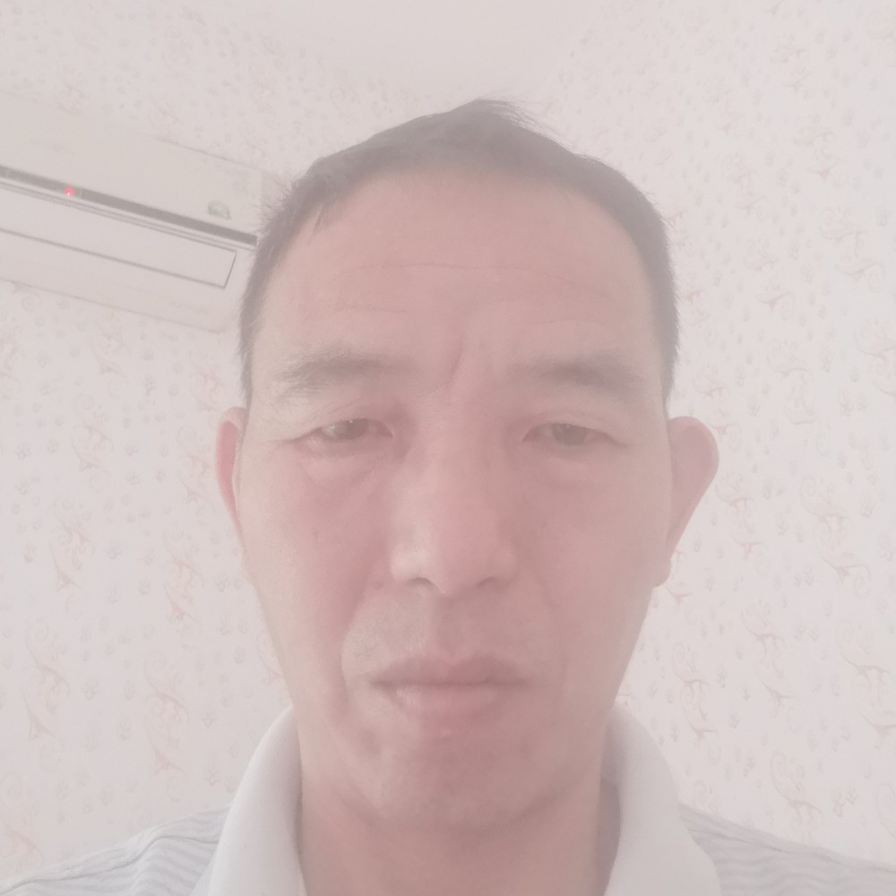 夕阳停止高贵的照片