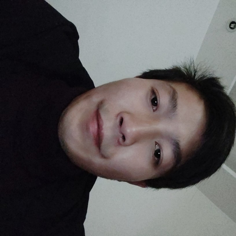 含羞草漫步典雅的照片