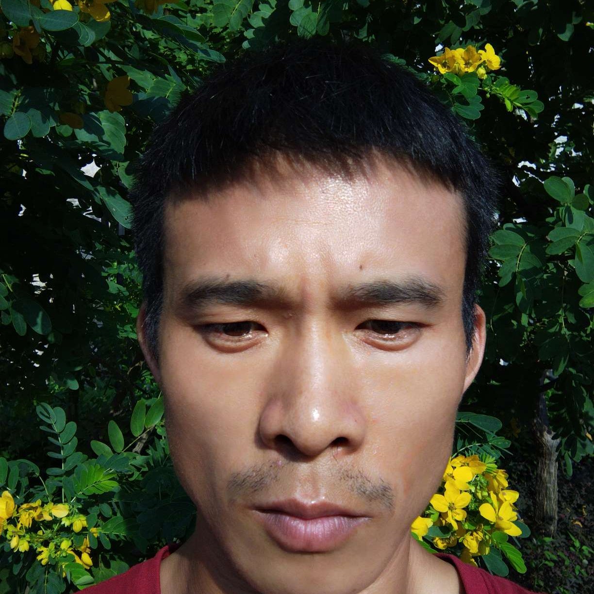发卡泪了虚心的照片