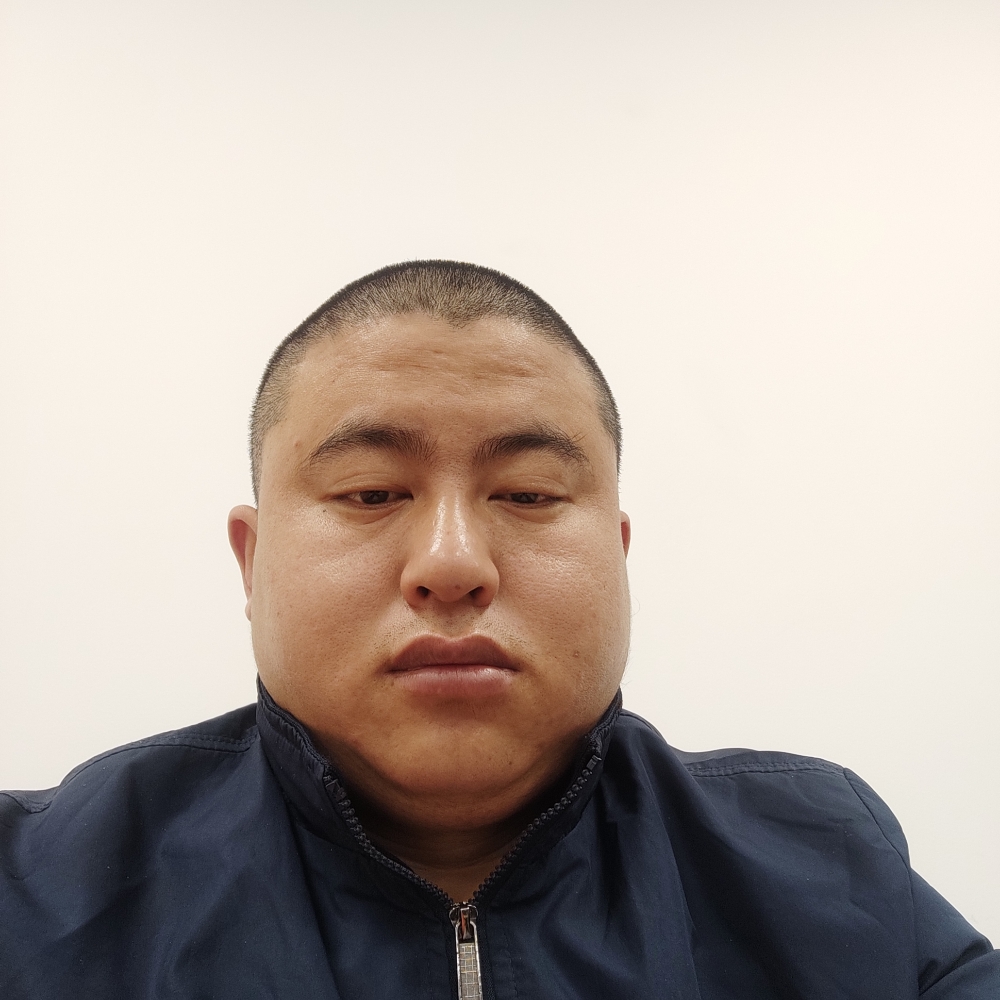 刺猬疯狂的照片