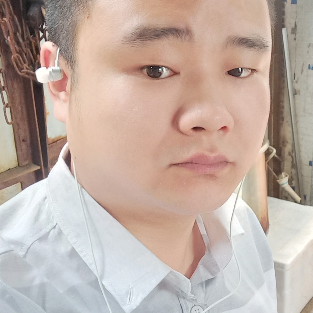 飞翔的雪鹰的照片