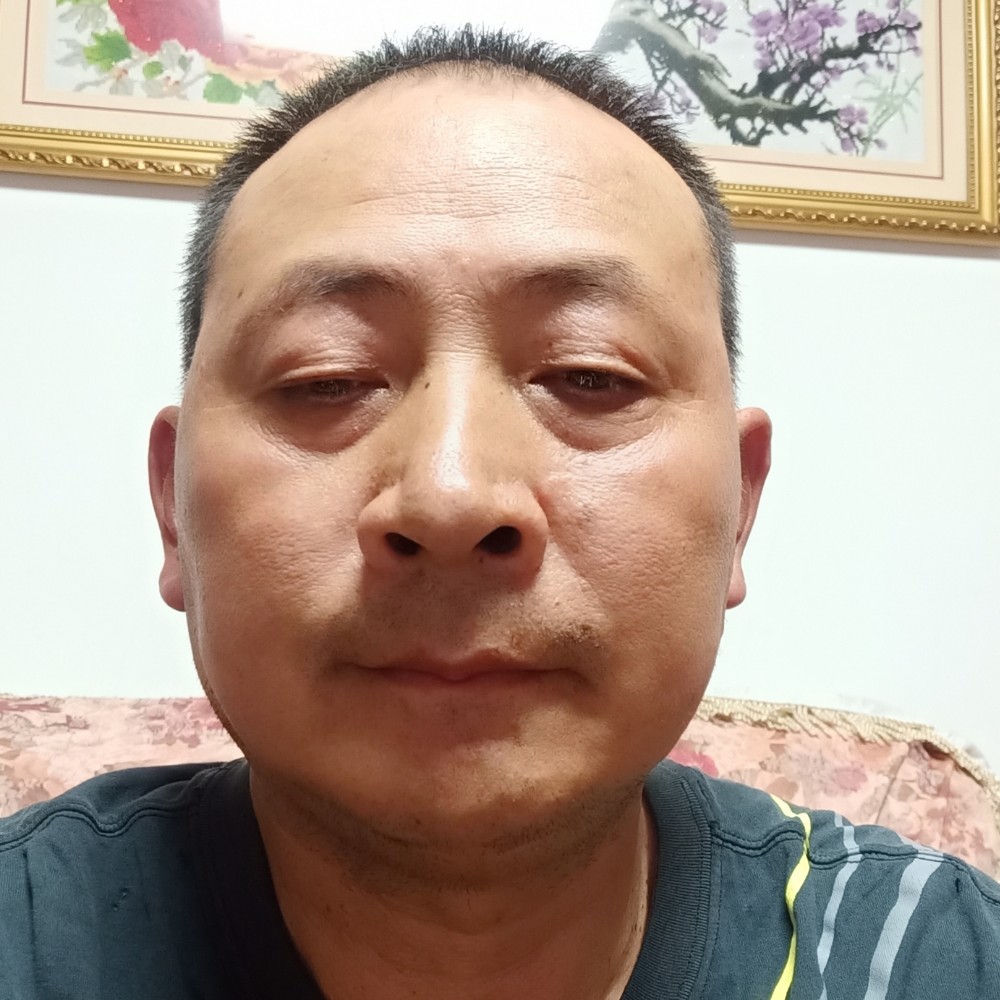三羊开的照片