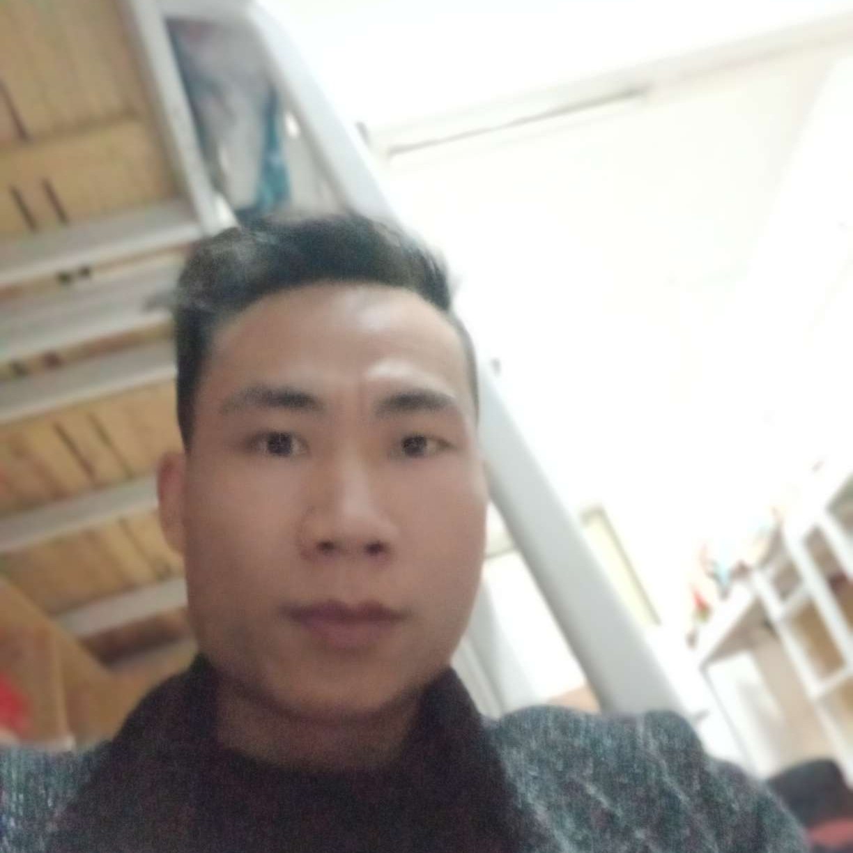 若梦飞鸟的照片