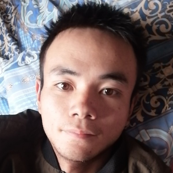 聪慧给小海豚的照片