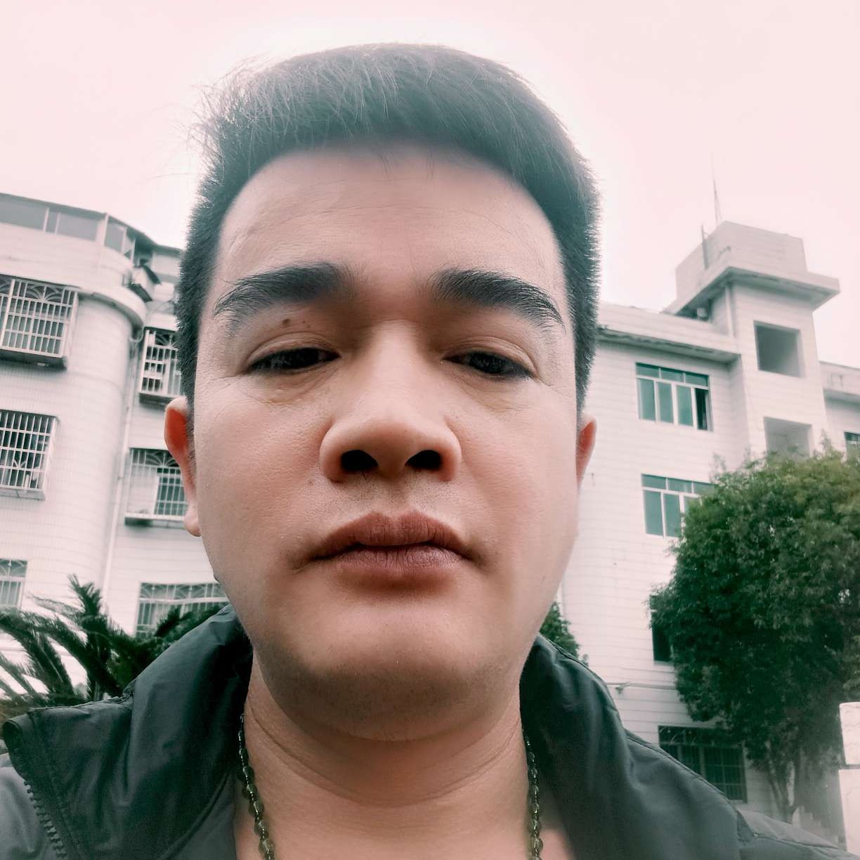 续梦照片