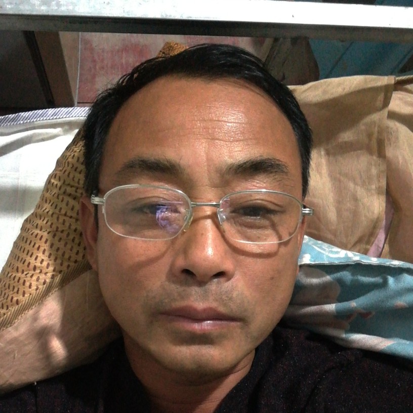 淡然邂逅海燕的照片