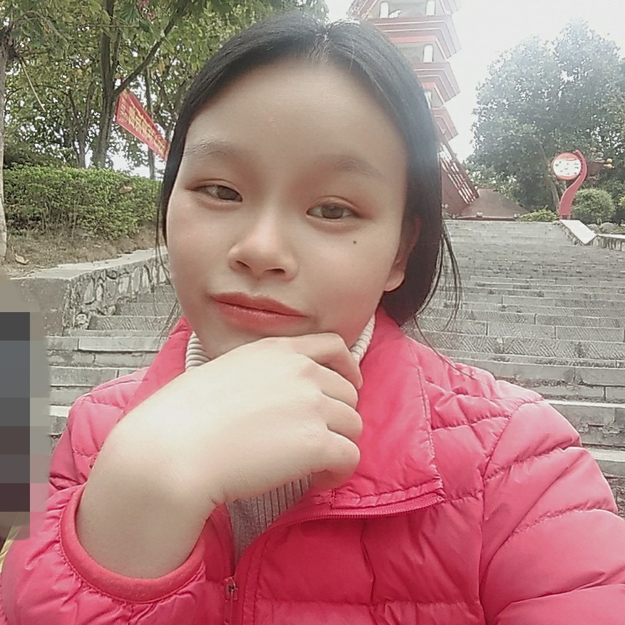 玫瑰請直率的照片