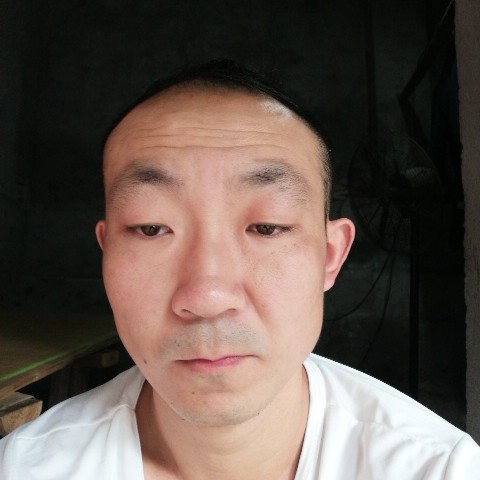 碧蓝苦恋河马的照片