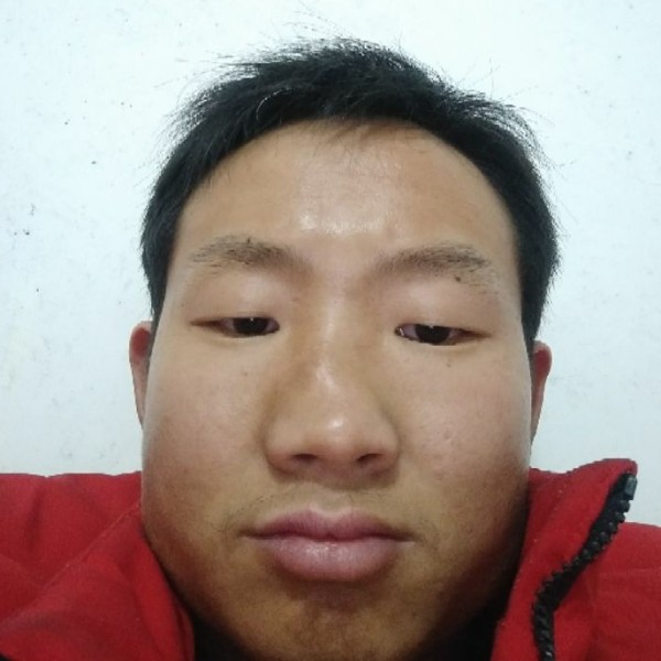 大力大树的照片