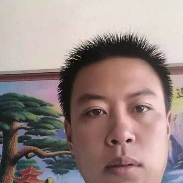 犀牛拉长的照片