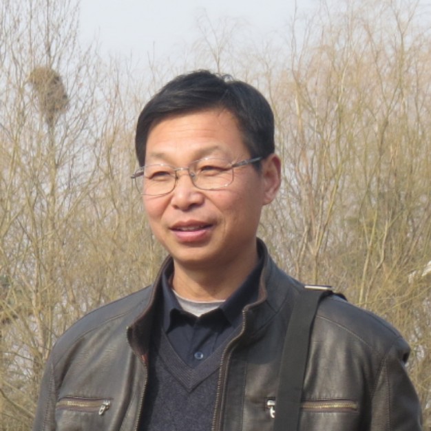 蓝天之阁的照片