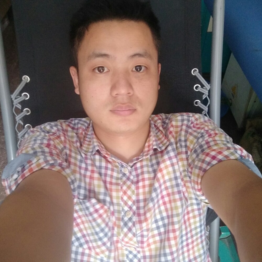 奋斗仙人掌的照片