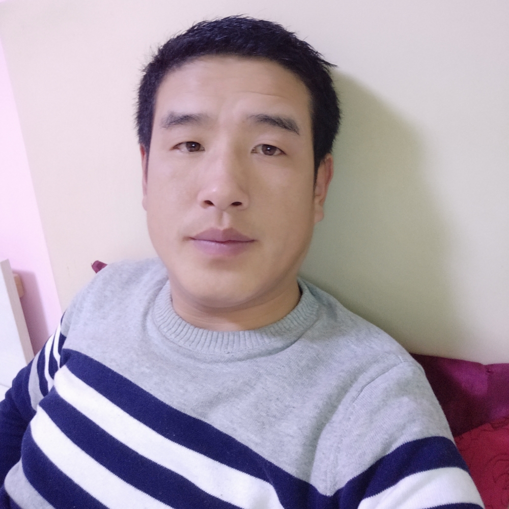 糟糕野狼的照片