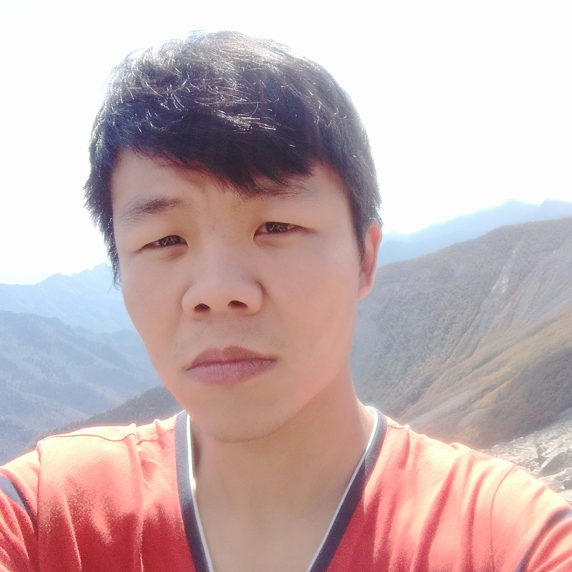 小熊猫明媚的照片