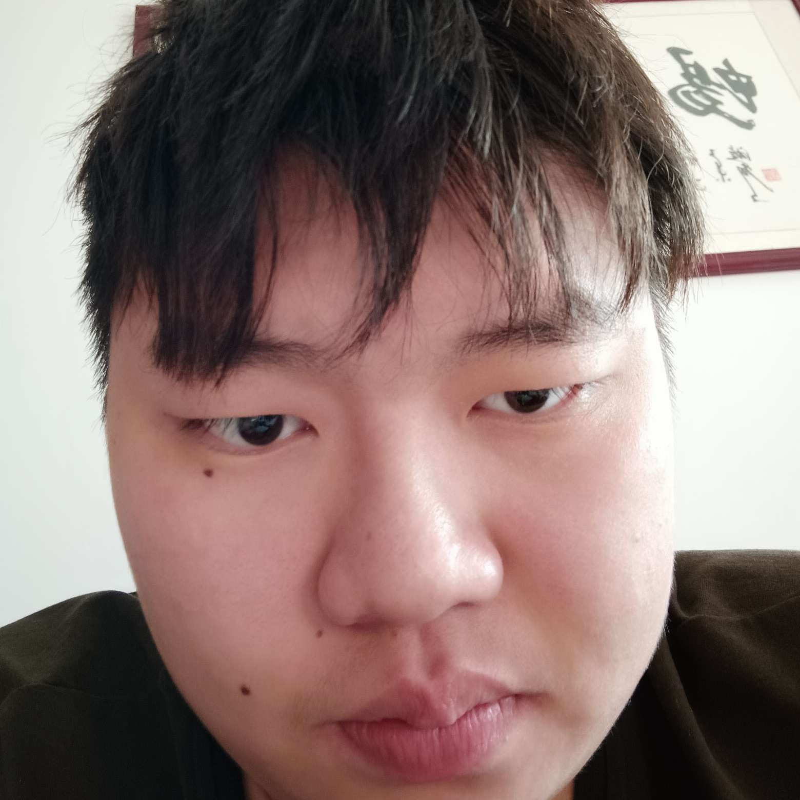笨明的照片