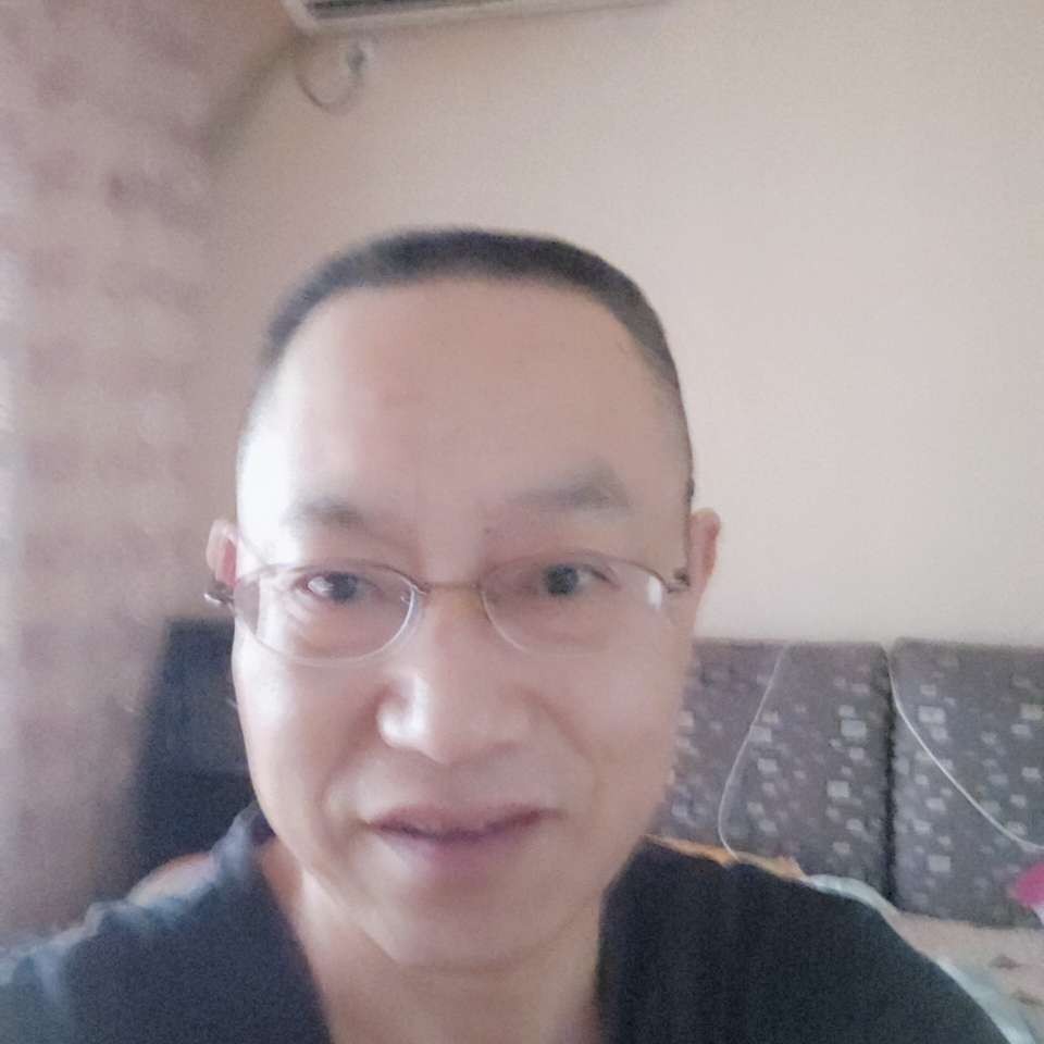 下水的猫的照片