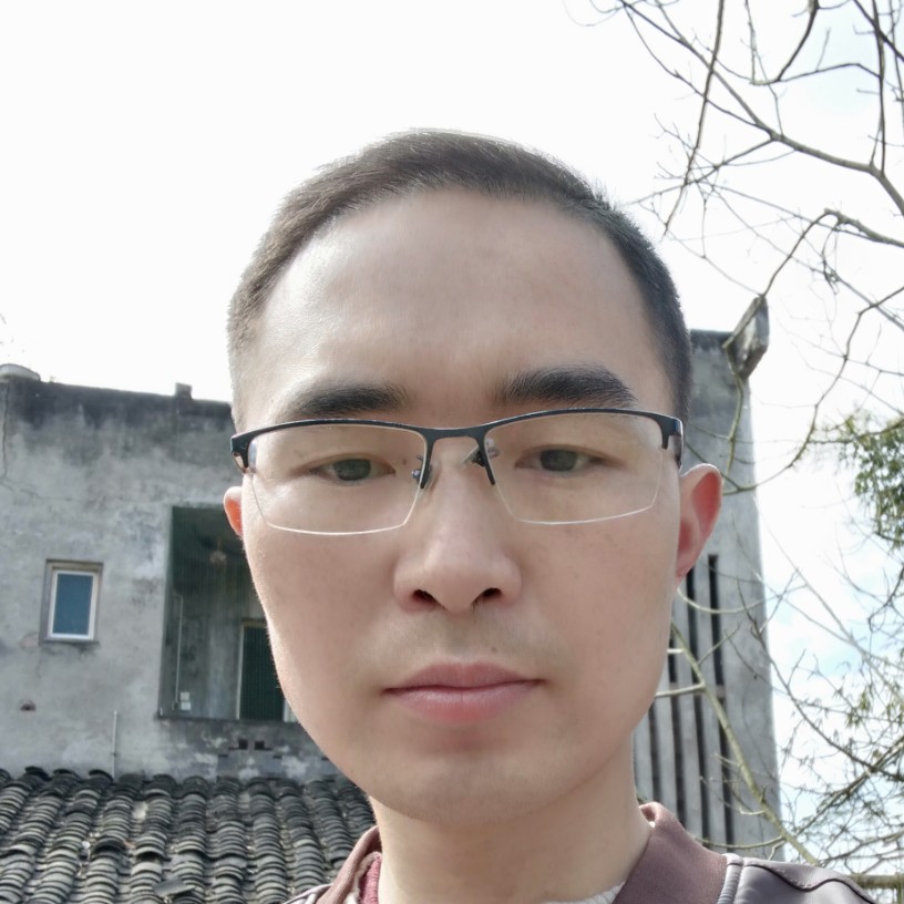 粗心回首小海豚的照片