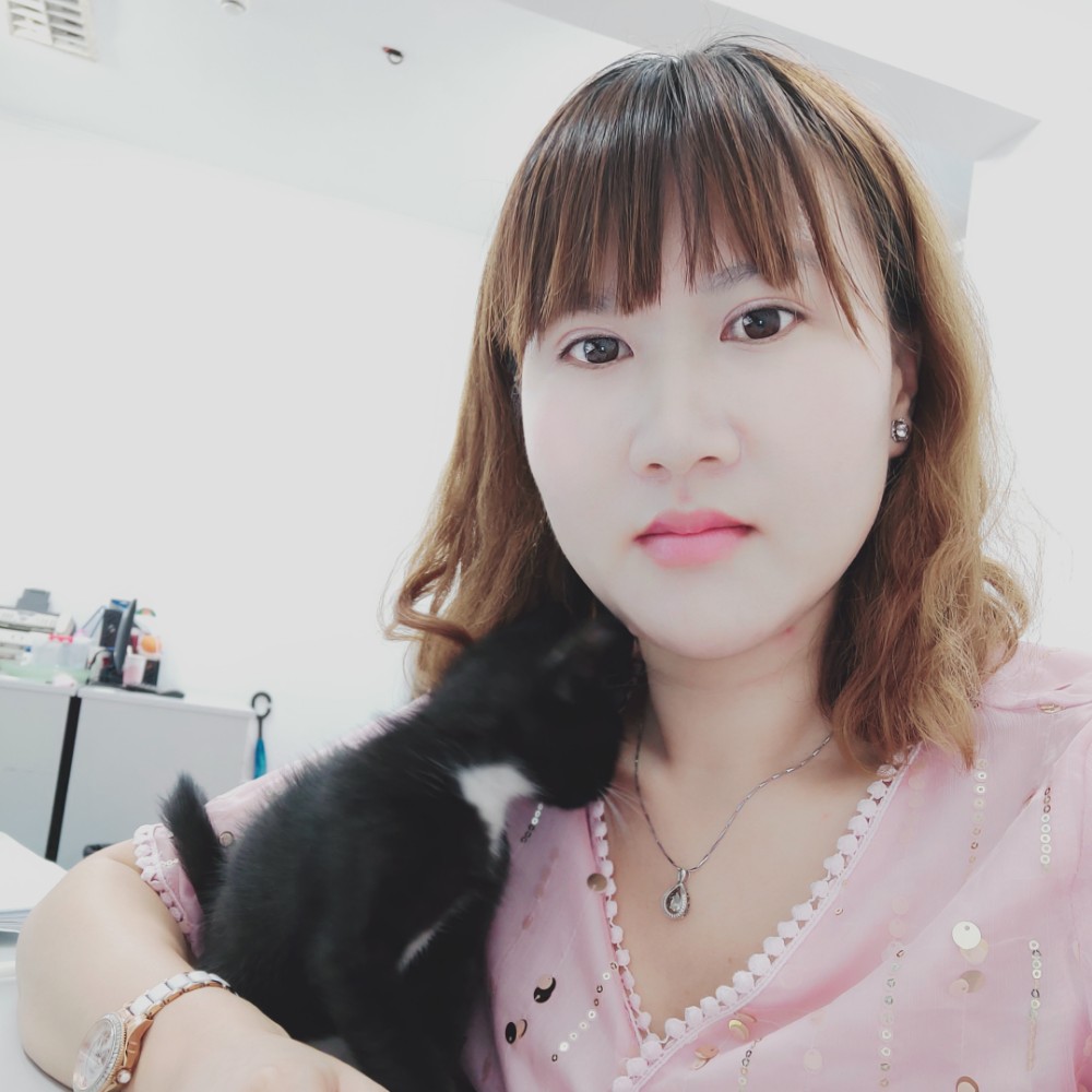 笑点低向日葵的照片