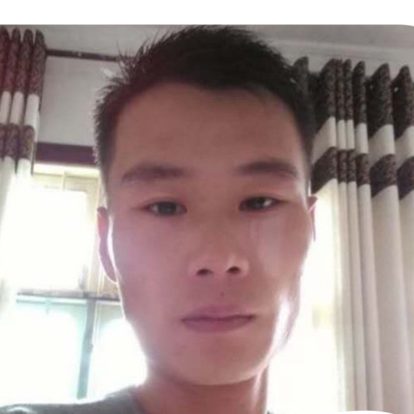 迷离吃醋向日葵的照片