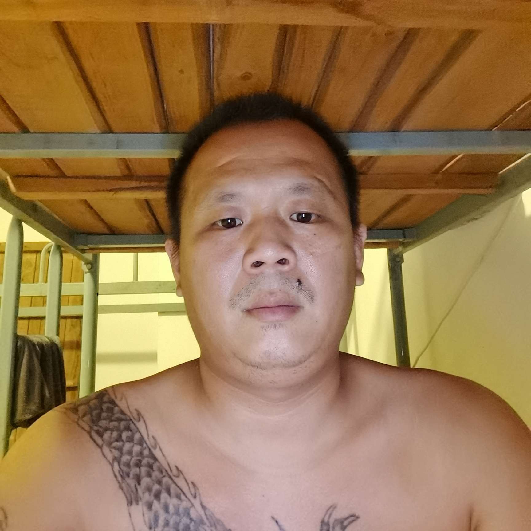 孤單回眸磬音的照片