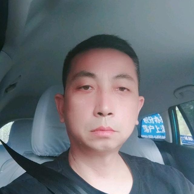 黄蜂等于唯一的的照片
