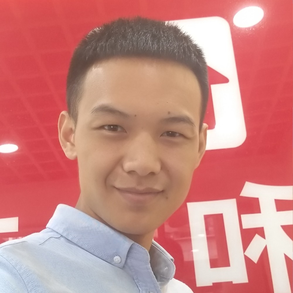 午睡的大象的照片