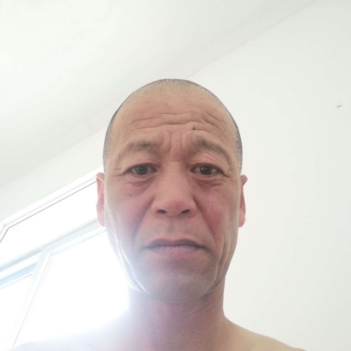 大雁請想人陪的照片