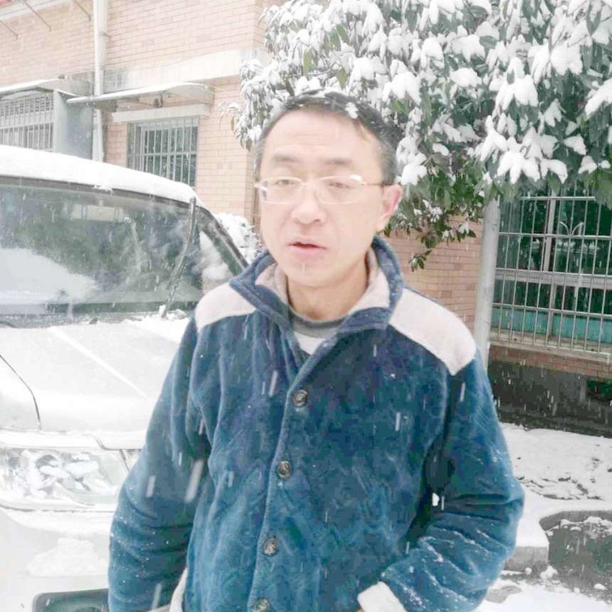 狼图腾的狼的照片