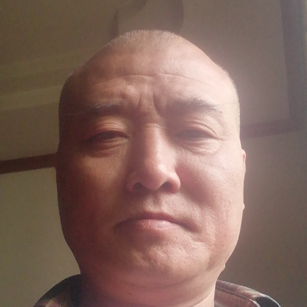 蚂蚁热情的照片