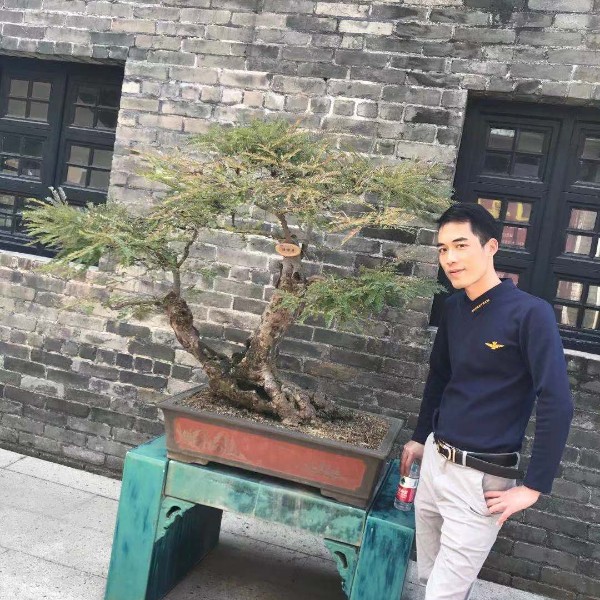 浮光的端庄的照片